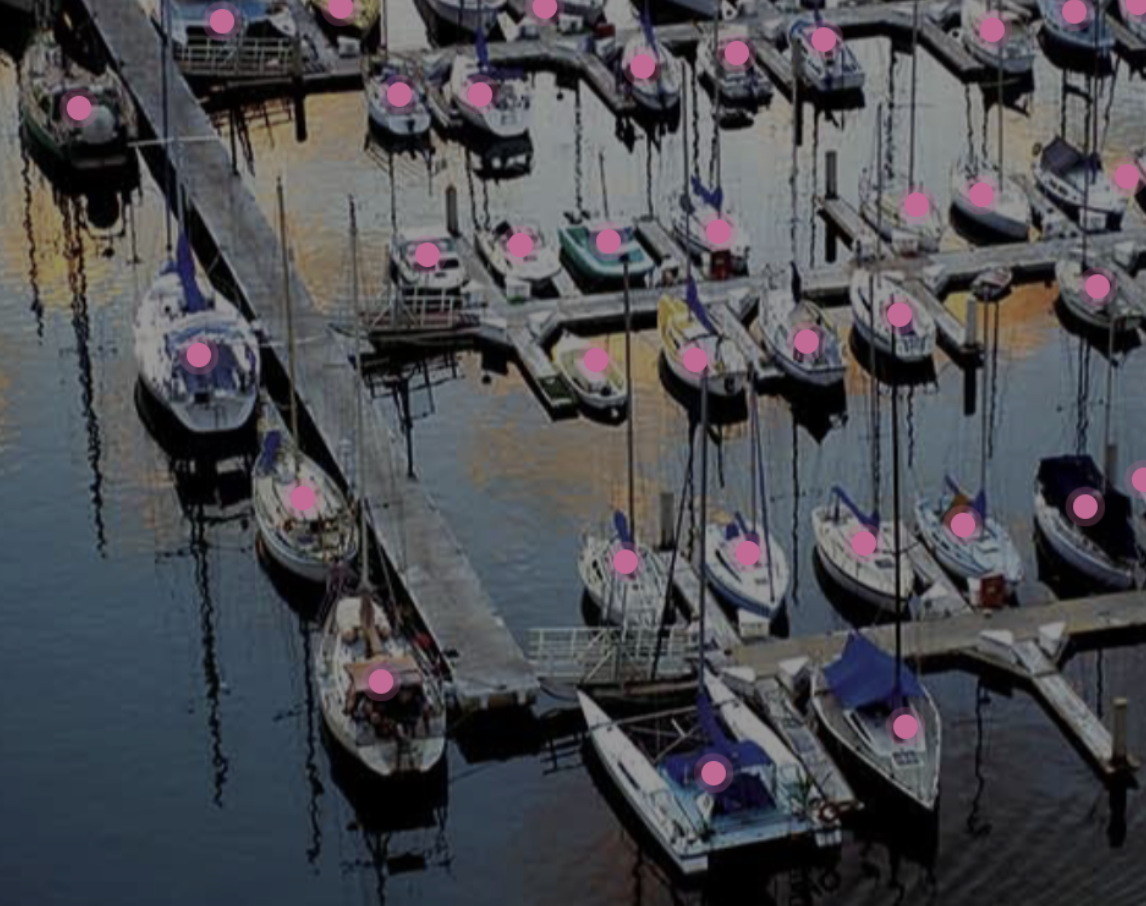 Molmo count-by-pointing example — boats