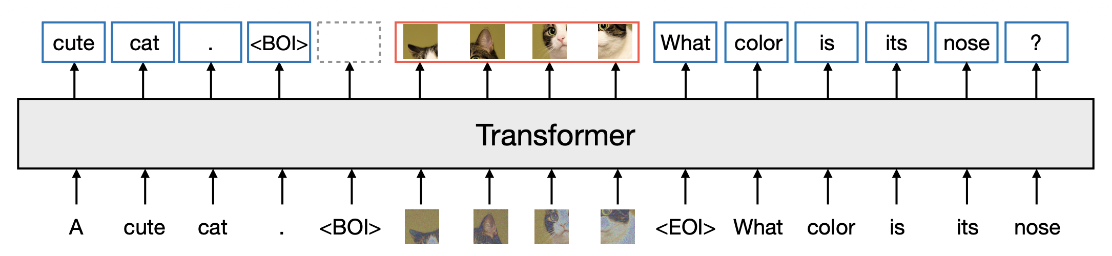 Transfusion
