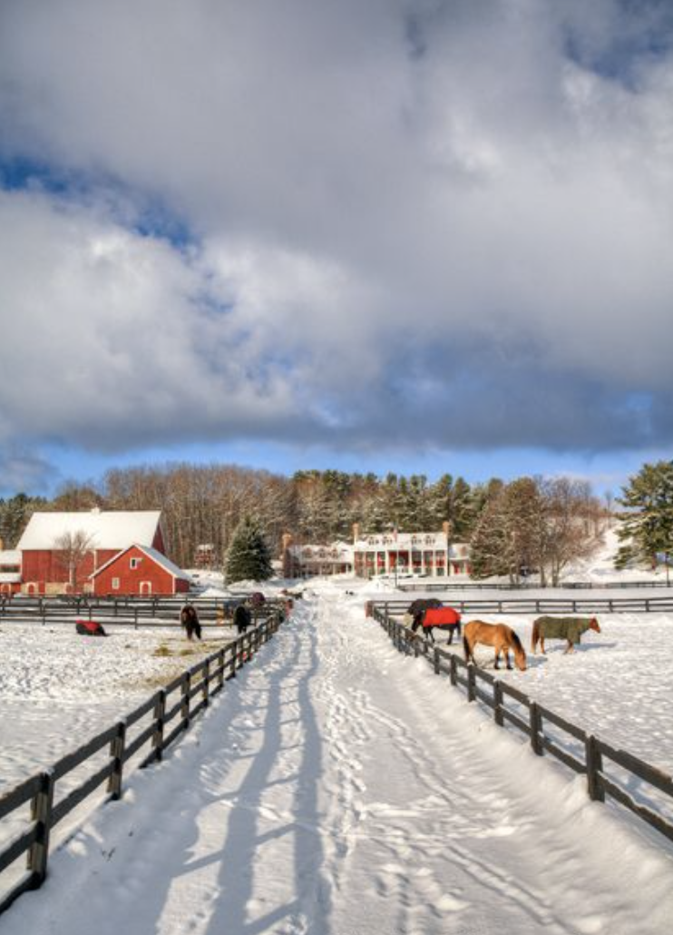 Web image — winter